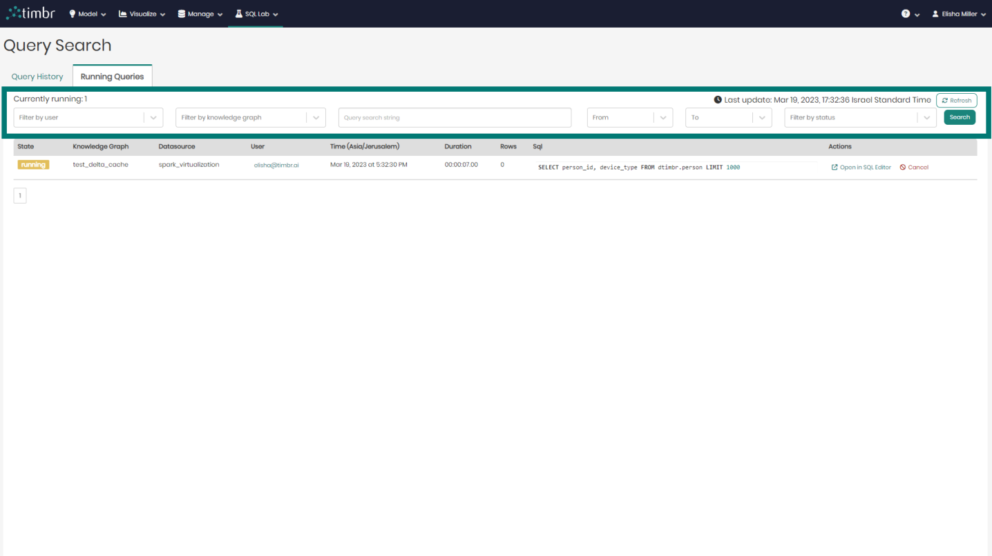 Running queries pane