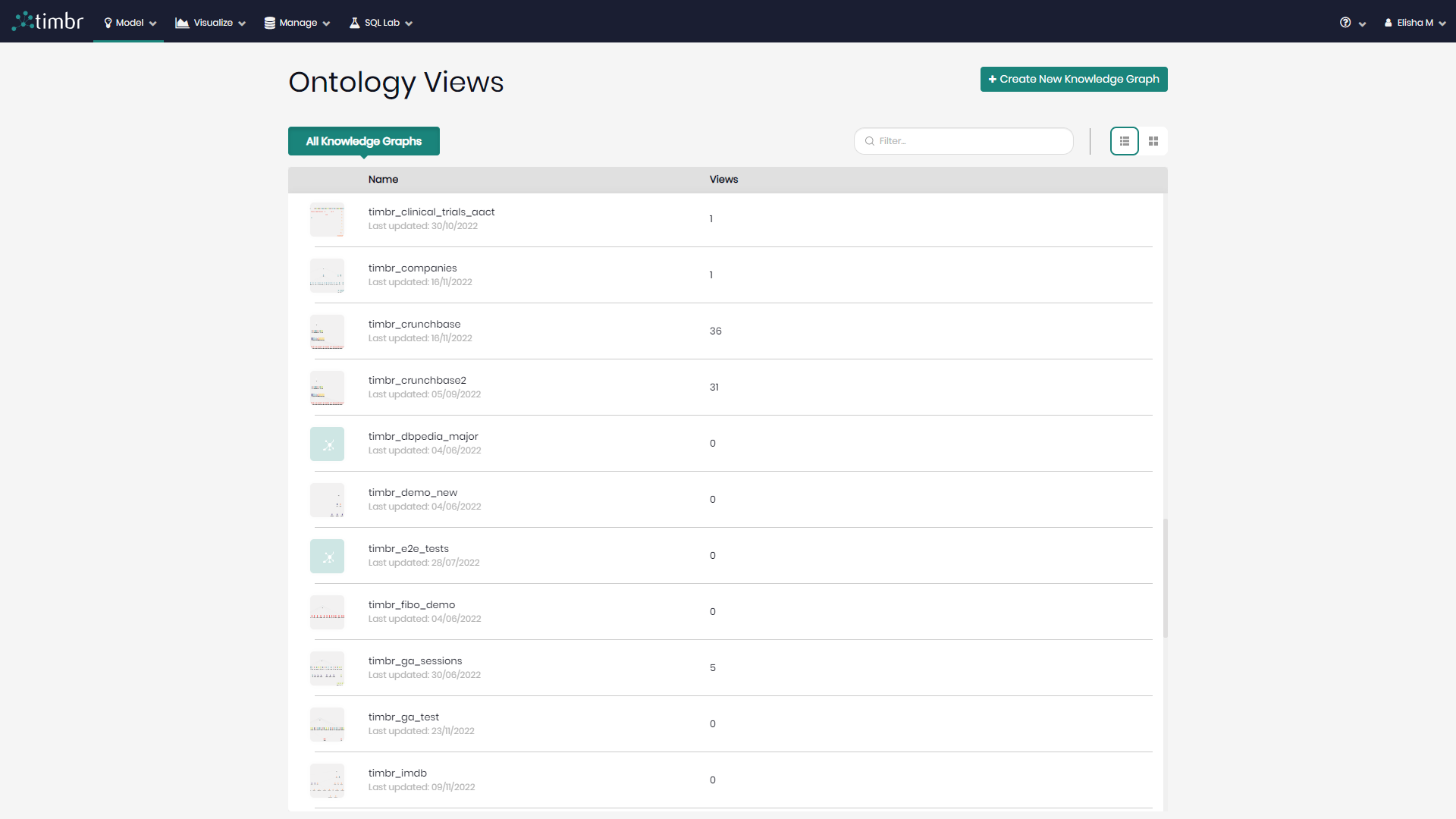 Ontology Views